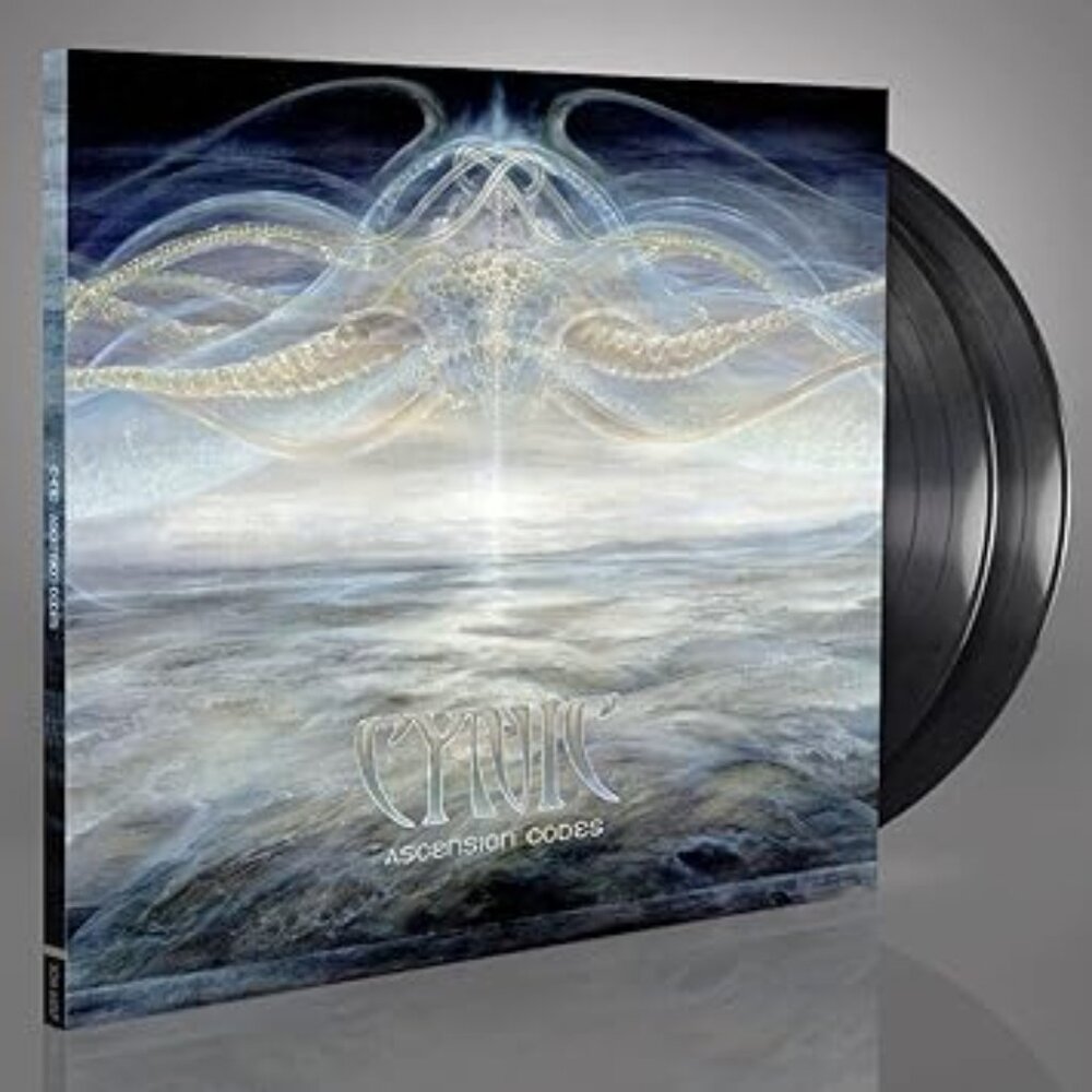 Ascension Codes Vinyl (2)